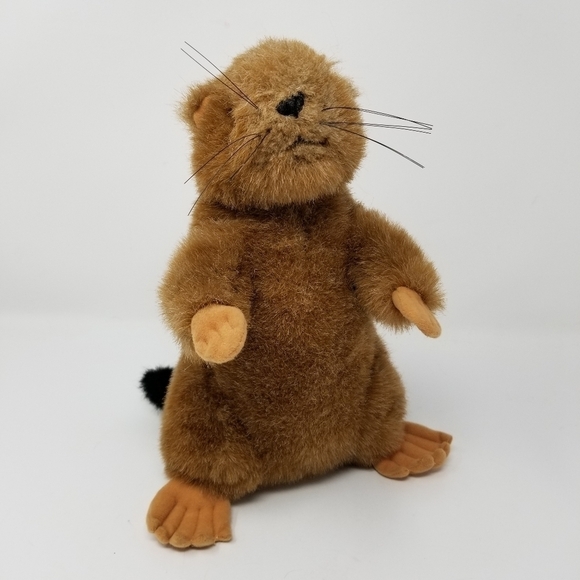 Groundhog Plush Soundprints 1992 Stuffed Animal 90s Wildlife Realistic - Picture 4 of 16
